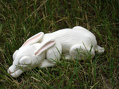 Bunny Sculpture